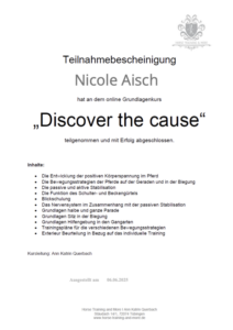 teilnahmebescheinigung-discover-the-cause - ann-katrin-querbach