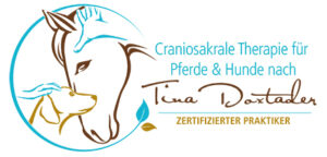 td-ct-ph_logo_zp